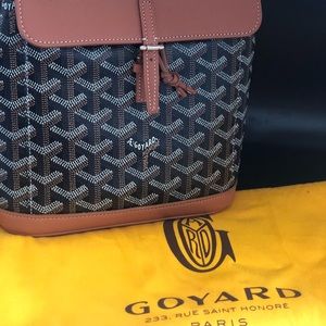 Pristine condition GOYARD ALPIN MINI BACKPACK